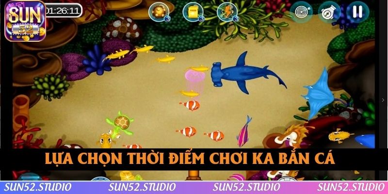 Chơi bắn cá ở những thời điểm thích hợp Chơi bắn cá ở những thời điểm thích hợp